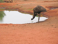 So that's how they do it